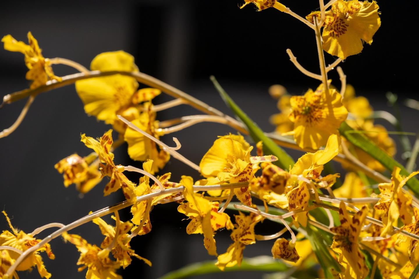 Detail Gallery Image 19 of 29 For 4970 Cherry Ave #115,  San Jose,  CA 95118 - 1 Beds | 1 Baths