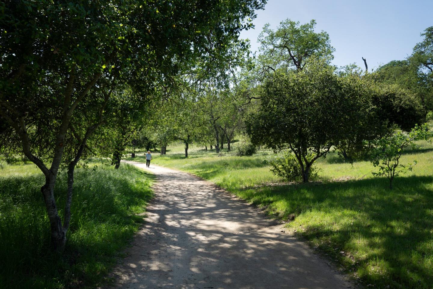 Detail Gallery Image 28 of 29 For 4970 Cherry Ave #115,  San Jose,  CA 95118 - 1 Beds | 1 Baths