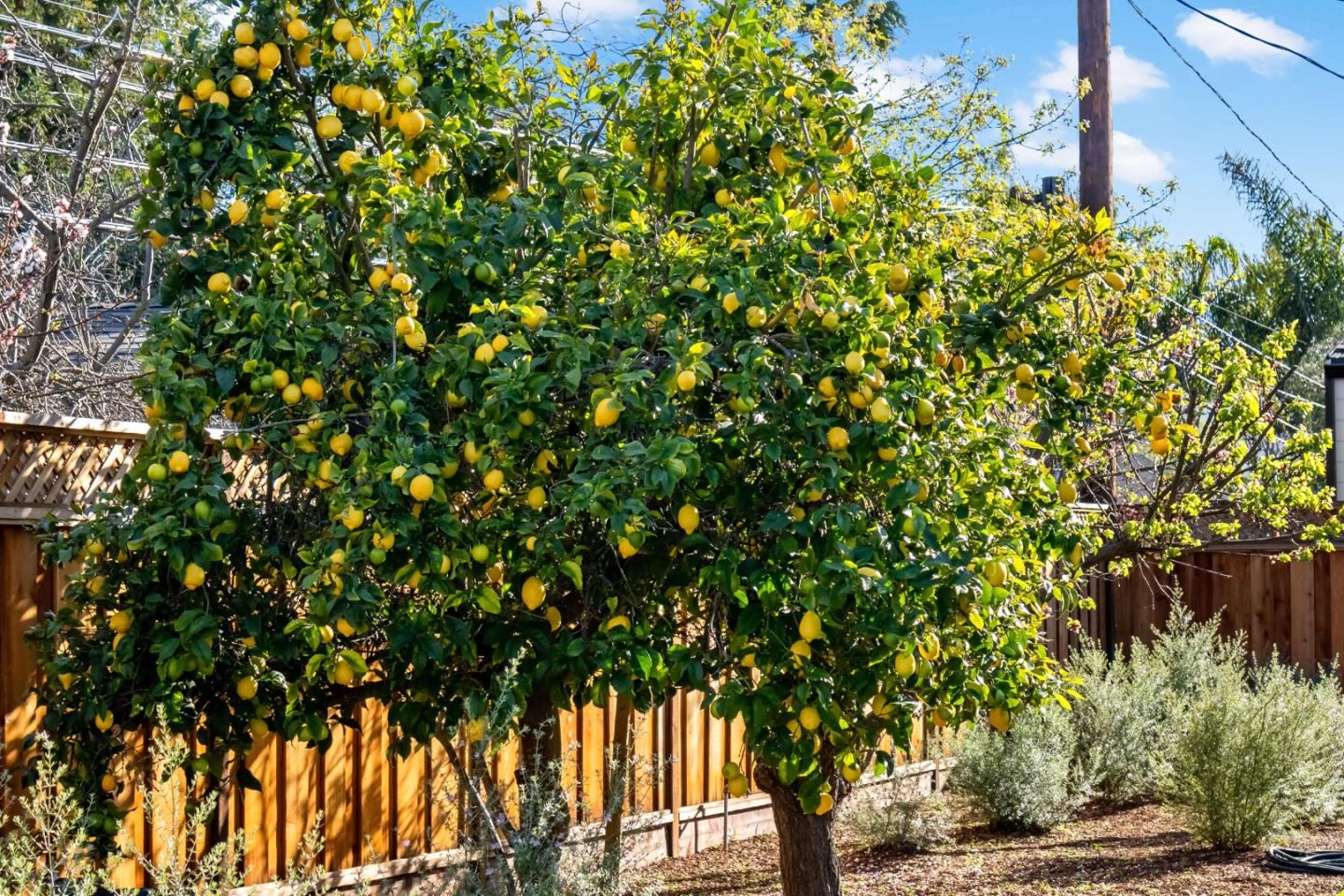 Detail Gallery Image 11 of 33 For 12536 Paseo Flores, Saratoga,  CA 95070 - 7 Beds | 5/1 Baths