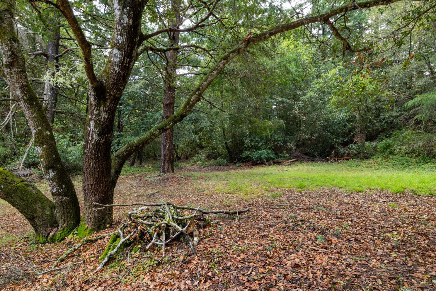 Detail Gallery Image 68 of 80 For 188 Kelly Ln, Santa Cruz,  CA 95060 - 5 Beds | 3 Baths