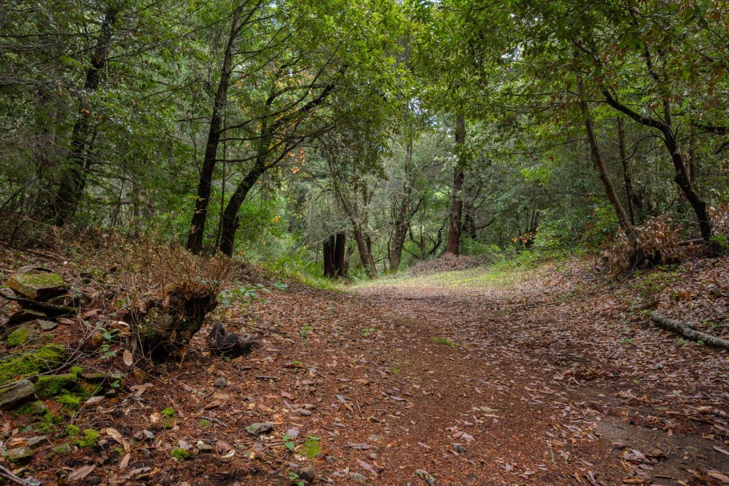 Detail Gallery Image 70 of 80 For 188 Kelly Ln, Santa Cruz,  CA 95060 - 5 Beds | 3 Baths