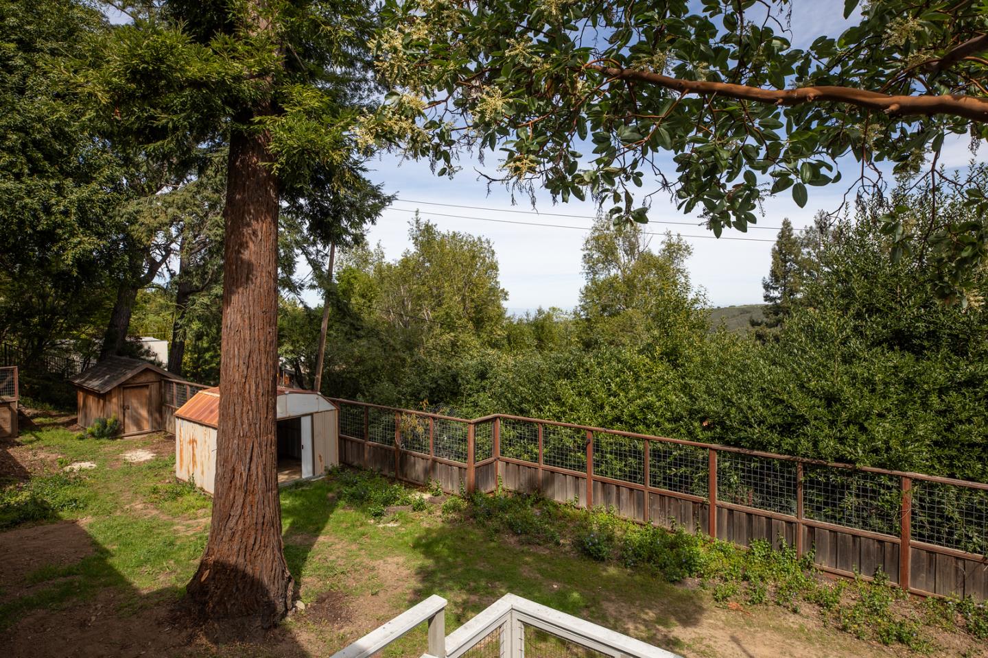 Detail Gallery Image 11 of 14 For 244 Bonita Rd, Portola Valley,  CA 94028 - 3 Beds | 2 Baths