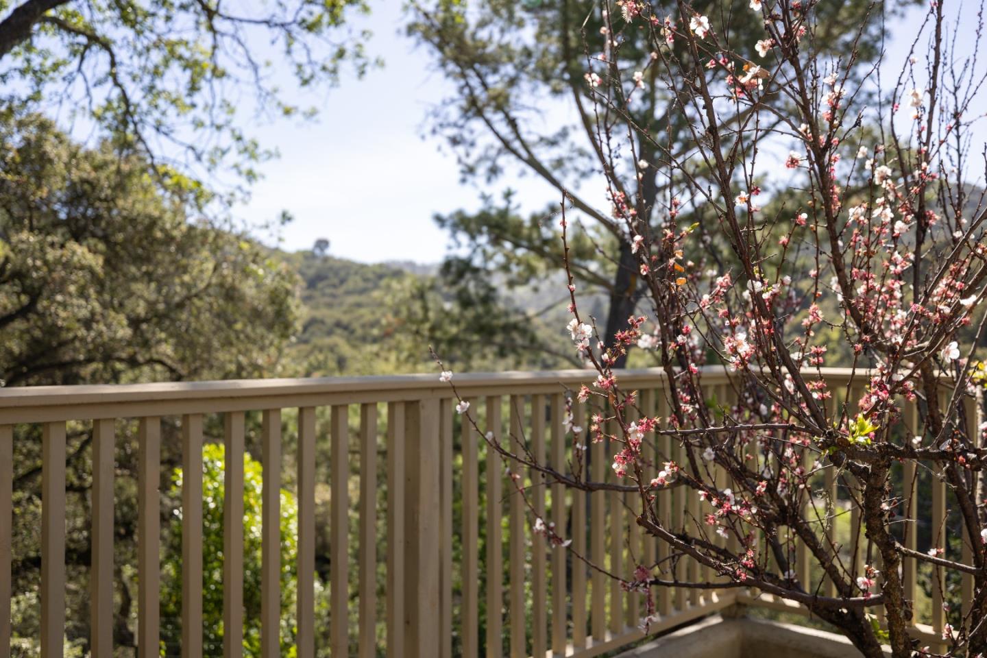 Detail Gallery Image 52 of 85 For 397 Corral De Tierra Rd #B,  Corral De Tierra,  CA 93908 - 3 Beds | 3 Baths