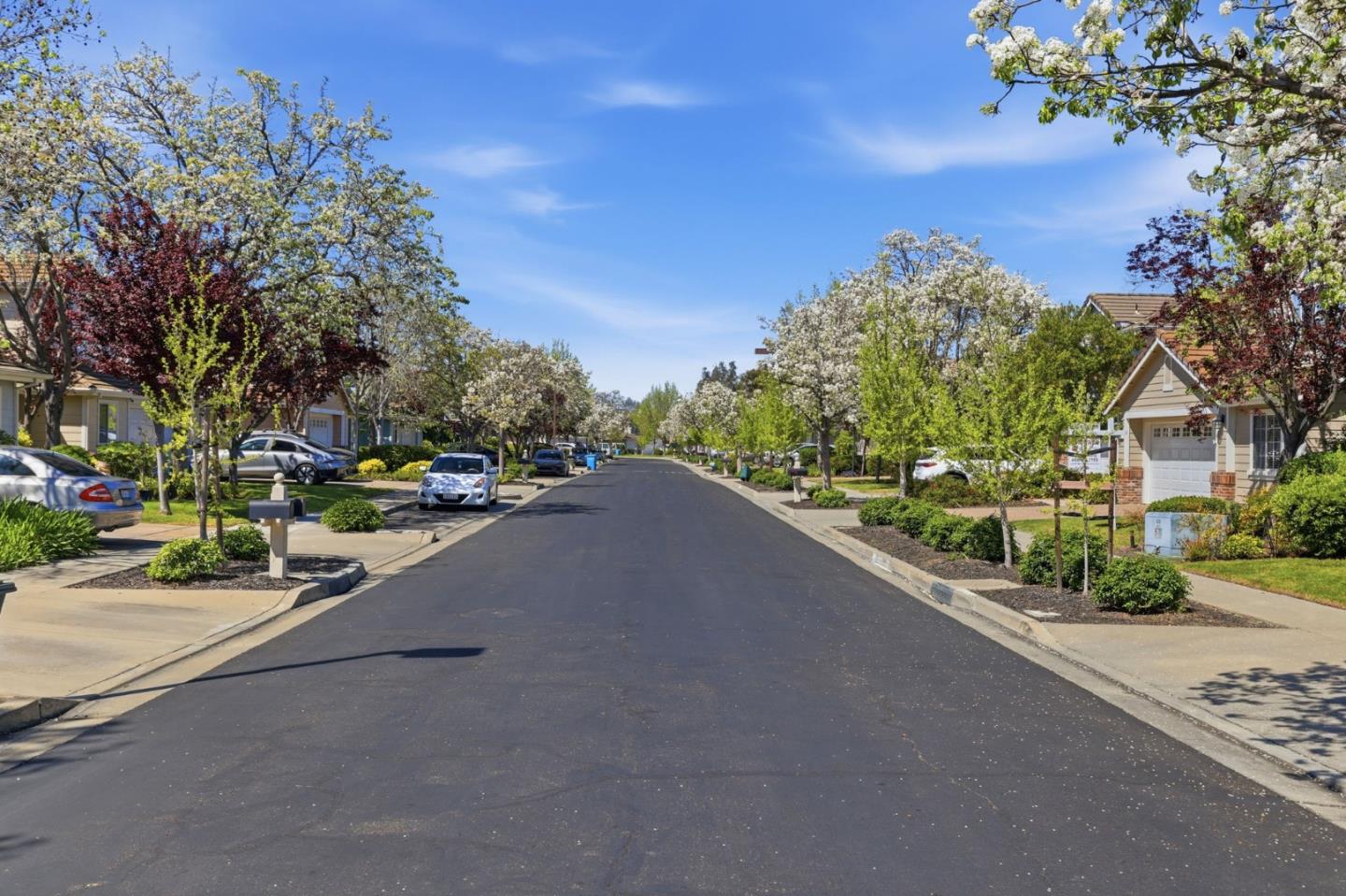 Detail Gallery Image 3 of 34 For 367 Montserrat Dr, Redwood City,  CA 94065 - 4 Beds | 2/1 Baths