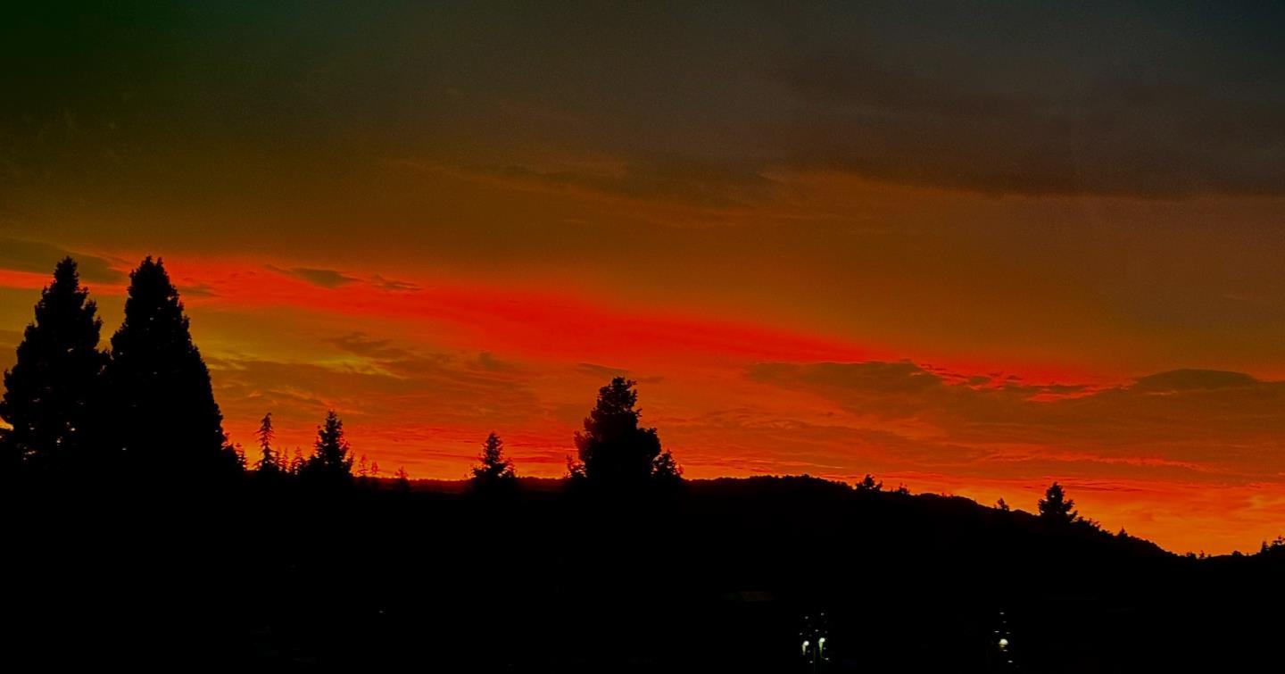 Detail Gallery Image 29 of 34 For 903 Lundy Ln, Scotts Valley,  CA 95066 - 3 Beds | 2/1 Baths