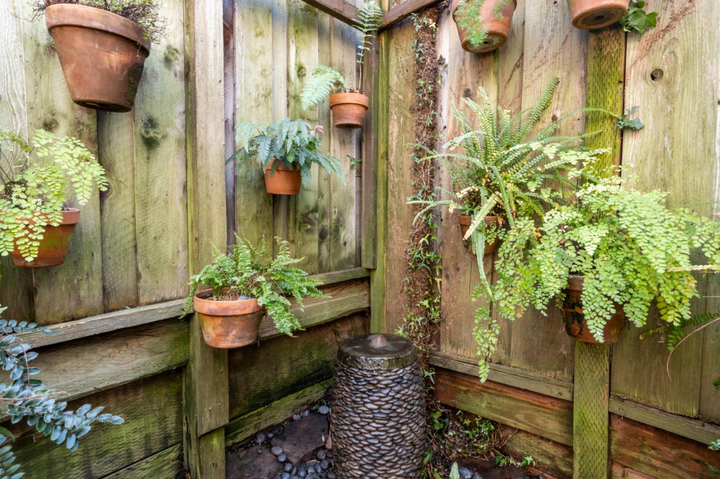 Detail Gallery Image 14 of 49 For 1423 San Antonio St, Menlo Park,  CA 94025 - 3 Beds | 2/1 Baths