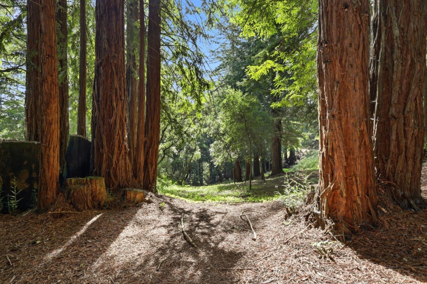 Detail Gallery Image 73 of 76 For 601 Old Hazel Dell Road, Watsonville,  CA 95076 - 5 Beds | 3/1 Baths