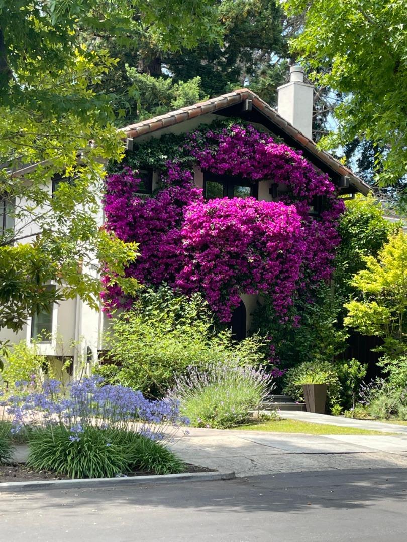 Detail Gallery Image 39 of 39 For 850 Guinda St, Palo Alto,  CA 94301 - 4 Beds | 3 Baths