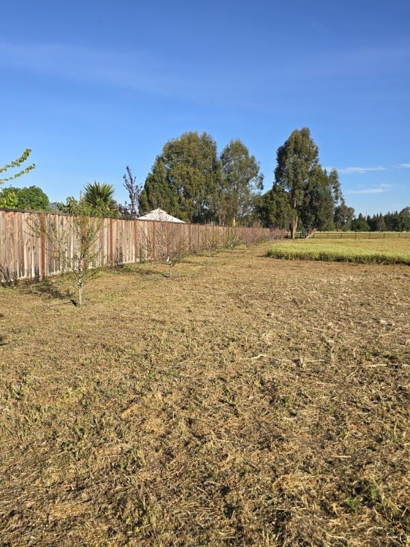 Detail Gallery Image 3 of 3 For 45 Roosevelt Ave, San Martin,  CA 95046 - 3 Beds | 2 Baths