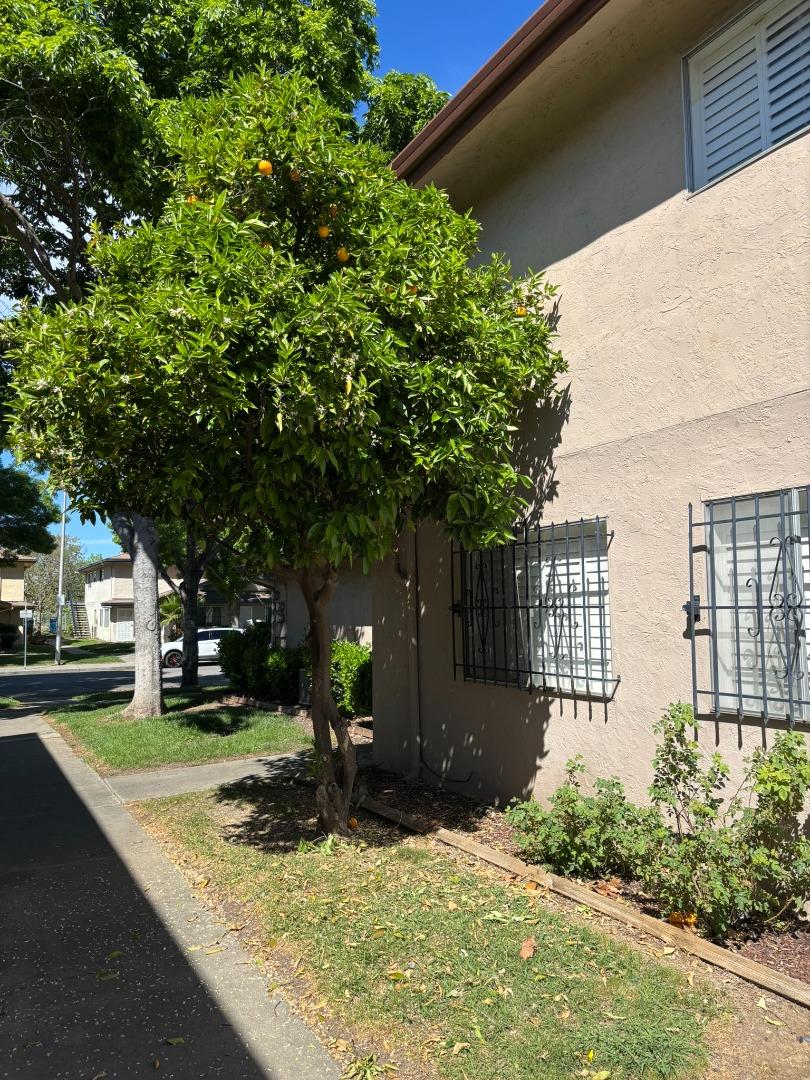 Detail Gallery Image 2 of 20 For 2205 Lemontree Way #3,  Antioch,  CA 94509 - 2 Beds | 1 Baths