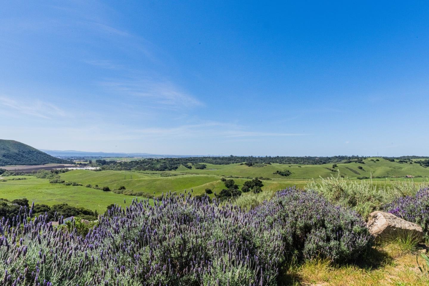 Detail Gallery Image 8 of 39 For 169 Old Stage Rd, Salinas,  CA 93908 - 3 Beds | 2/1 Baths