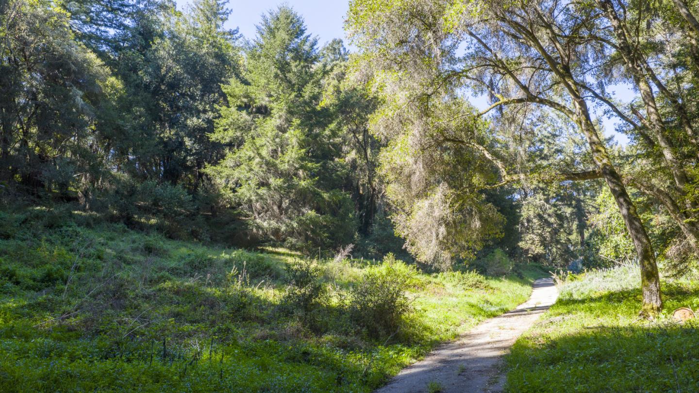 Detail Gallery Image 16 of 58 For 4444 Trout Gulch Rd, Aptos,  CA 95003 - – Beds | – Baths