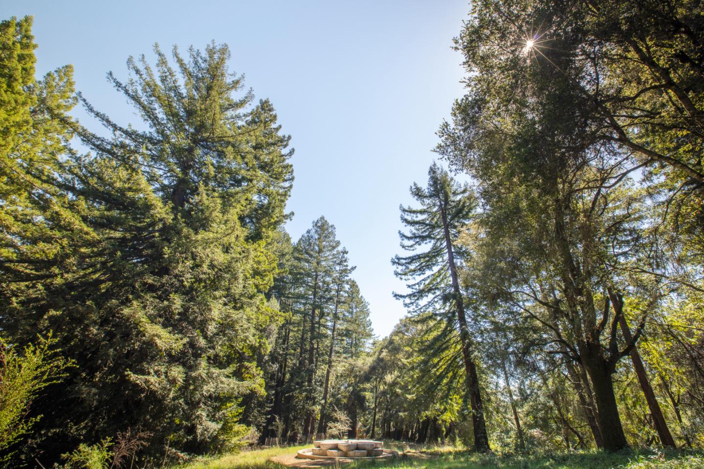 Detail Gallery Image 17 of 58 For 4444 Trout Gulch Rd, Aptos,  CA 95003 - – Beds | – Baths