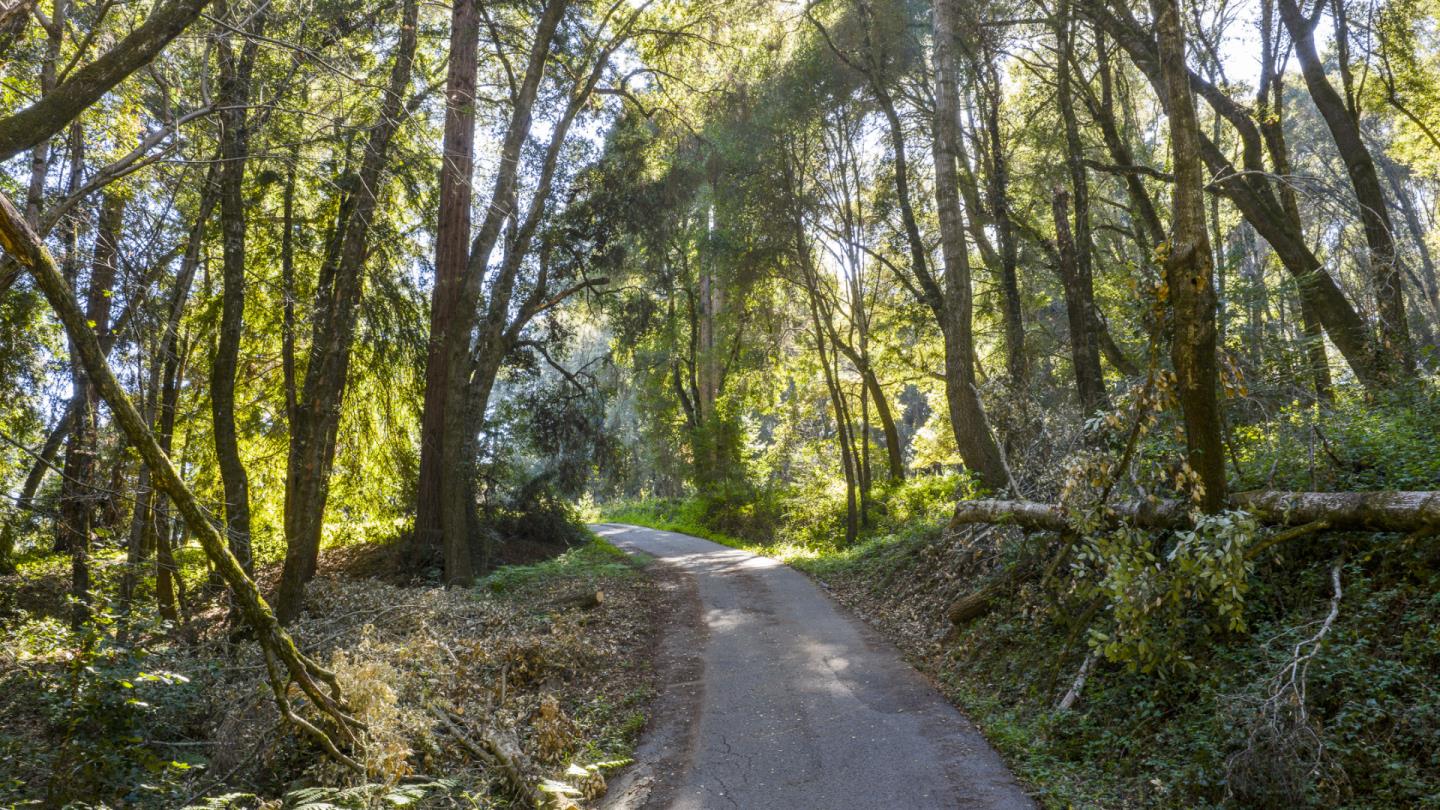 Detail Gallery Image 3 of 58 For 4444 Trout Gulch Rd, Aptos,  CA 95003 - – Beds | – Baths