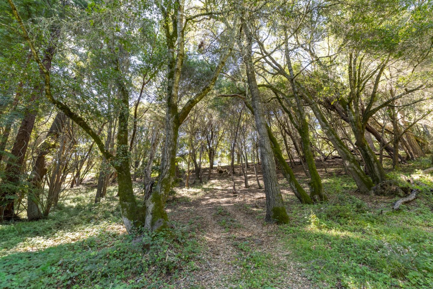 Detail Gallery Image 5 of 58 For 4444 Trout Gulch Rd, Aptos,  CA 95003 - – Beds | – Baths