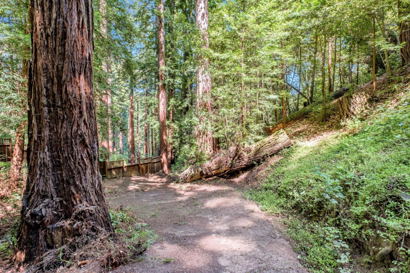 Detail Gallery Image 43 of 47 For 345 Mcgaffigan Mill Rd, Boulder Creek,  CA 95006 - 3 Beds | 3 Baths