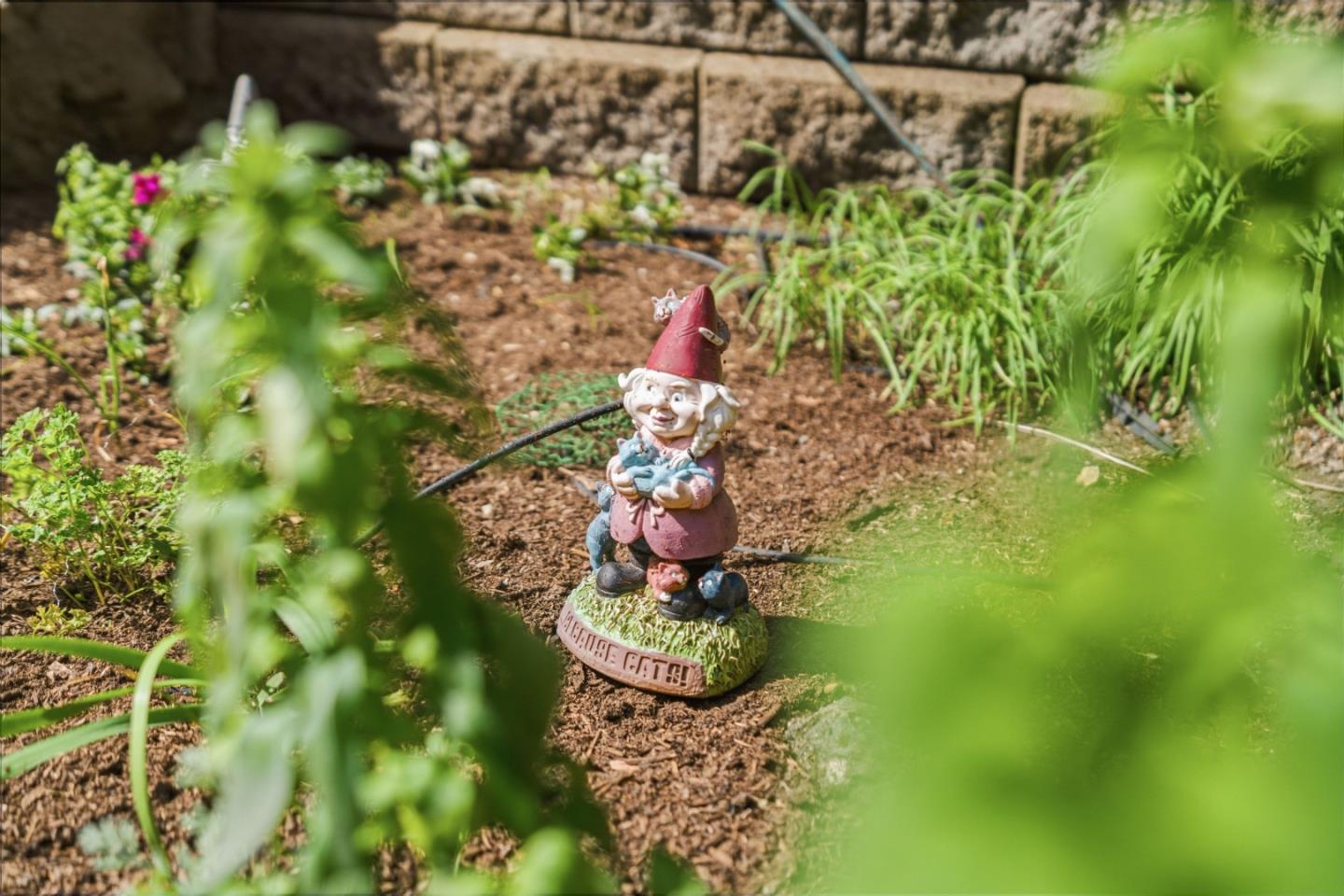 Detail Gallery Image 38 of 66 For 10931 Sequoia Ave, Felton,  CA 95018 - 2 Beds | 1 Baths