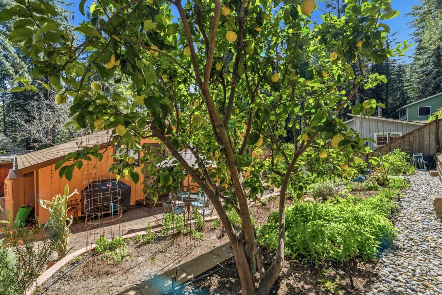 Detail Gallery Image 46 of 66 For 10931 Sequoia Ave, Felton,  CA 95018 - 2 Beds | 1 Baths