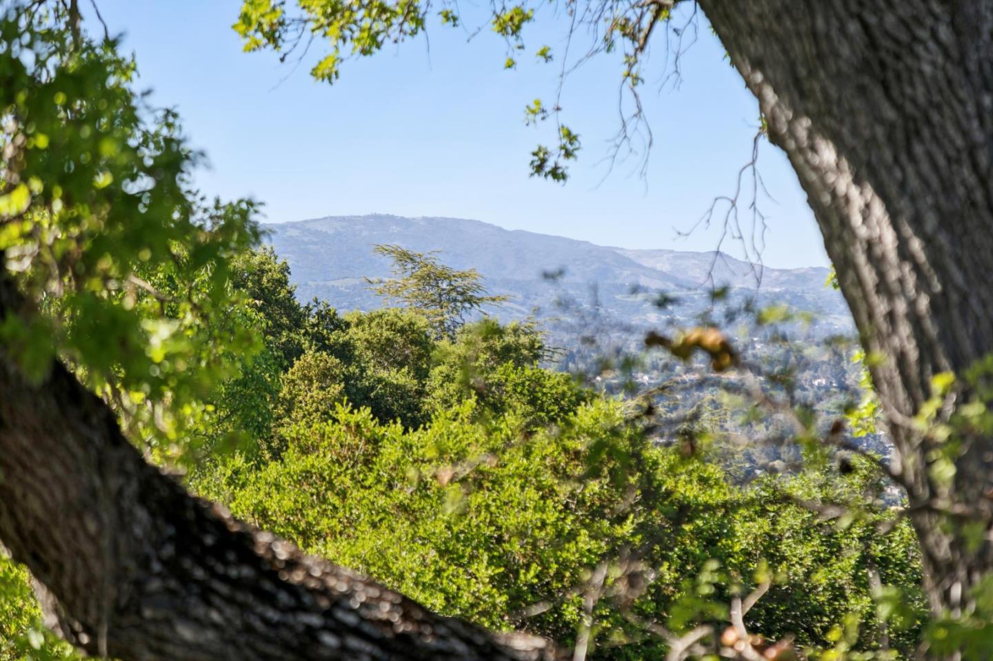 Detail Gallery Image 133 of 156 For 15715 Gum Tree Ln, Los Gatos,  CA 95032 - 4 Beds | 4/1 Baths