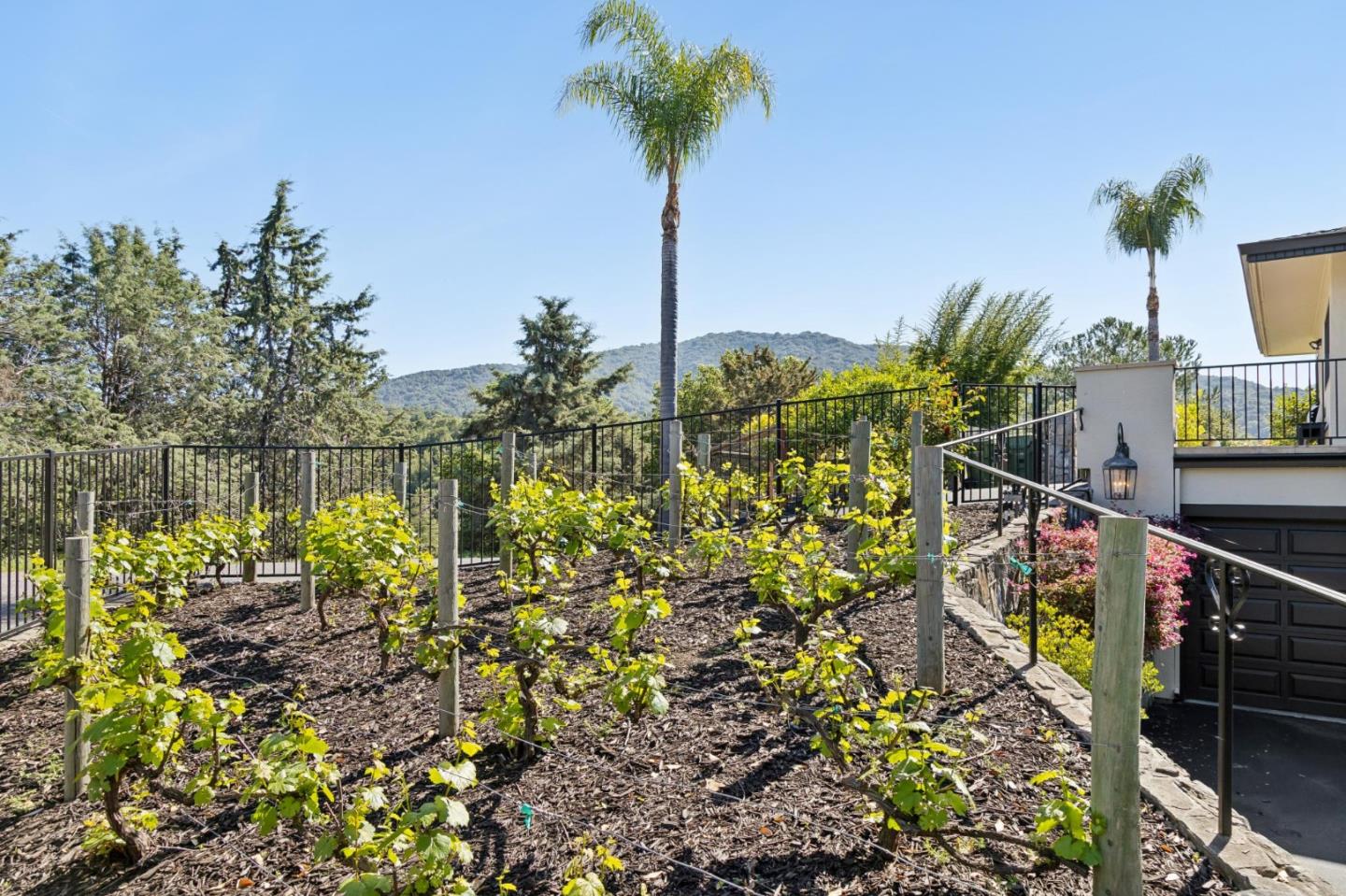 Detail Gallery Image 136 of 156 For 15715 Gum Tree Ln, Los Gatos,  CA 95032 - 4 Beds | 4/1 Baths