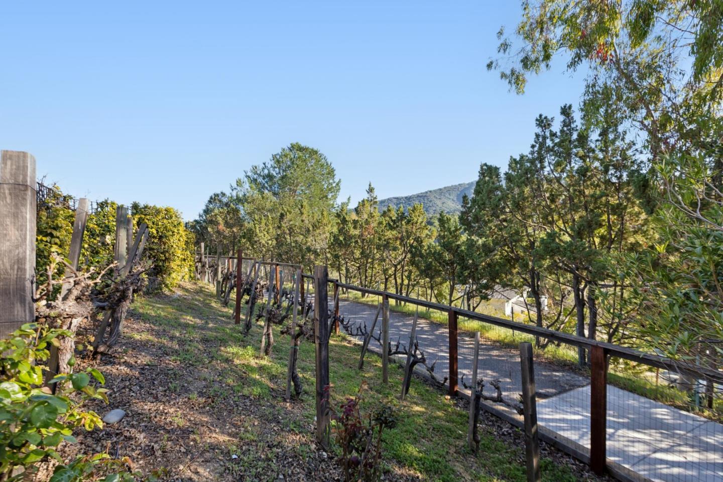 Detail Gallery Image 137 of 156 For 15715 Gum Tree Ln, Los Gatos,  CA 95032 - 4 Beds | 4/1 Baths