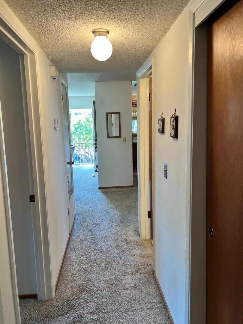 Detail Gallery Image 16 of 34 For 2245 Twin Hills Dr, Santa Cruz,  CA 95065 - 3 Beds | 1/1 Baths