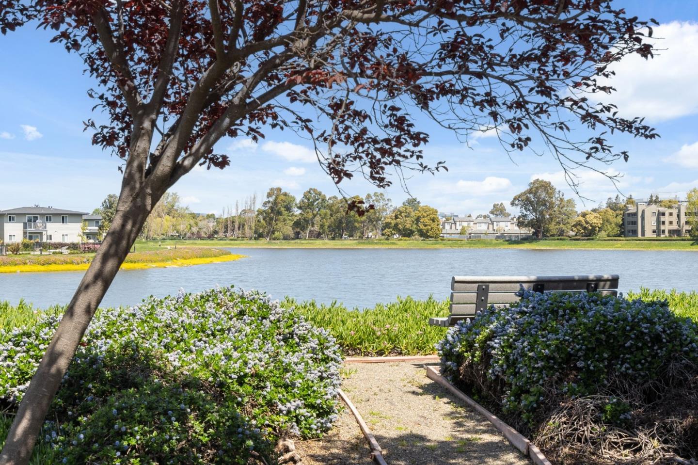 Photo #58: ML82038963 Listing: Photo #58