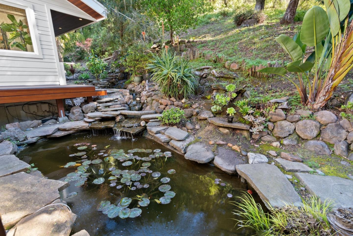 Detail Gallery Image 37 of 117 For 101 Endlich Dr, Santa Cruz,  CA 95060 - 5 Beds | 3/1 Baths