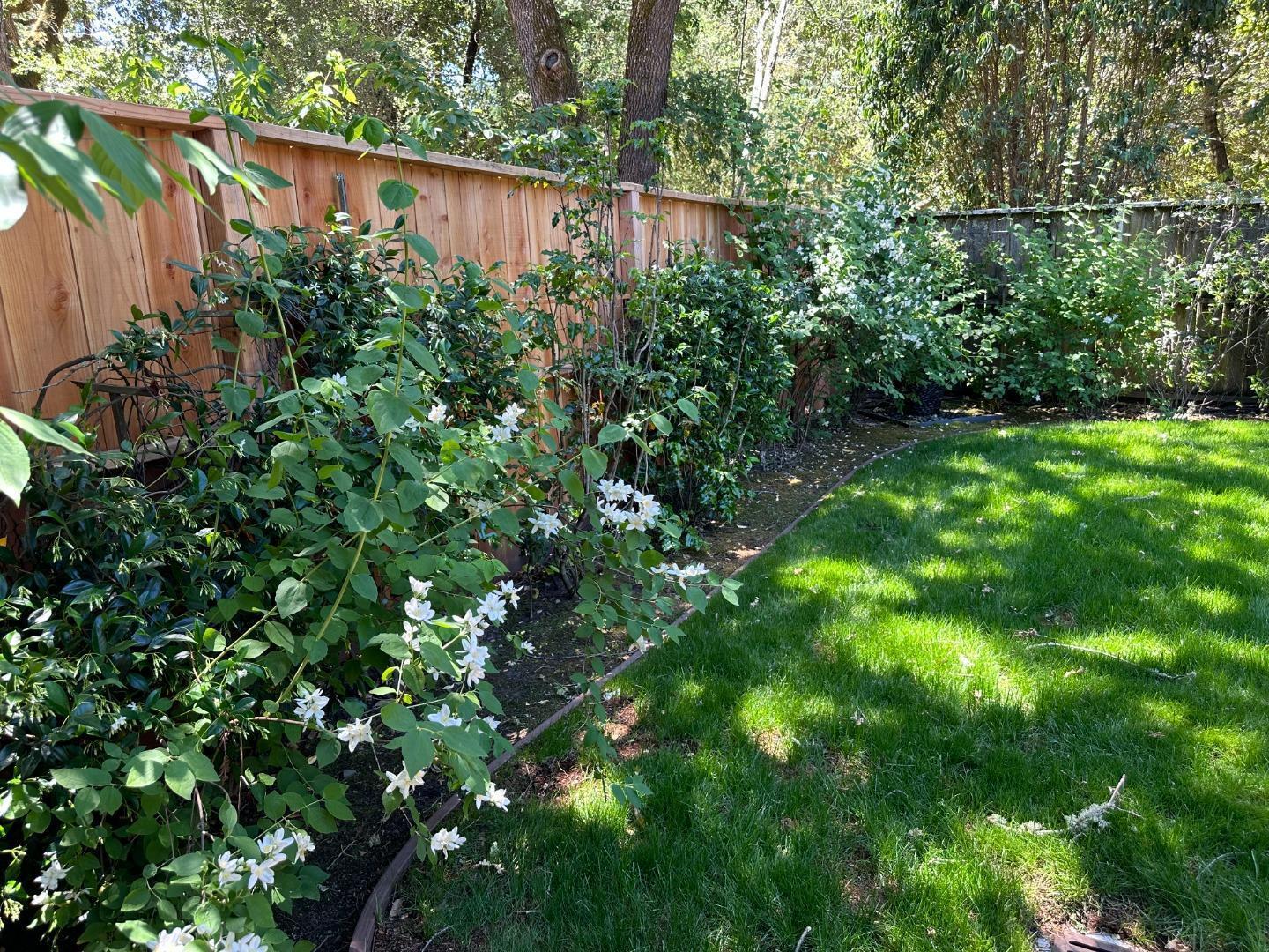 Detail Gallery Image 23 of 31 For 15 Martin Ln, Woodside,  CA 94062 - 3 Beds | 2 Baths