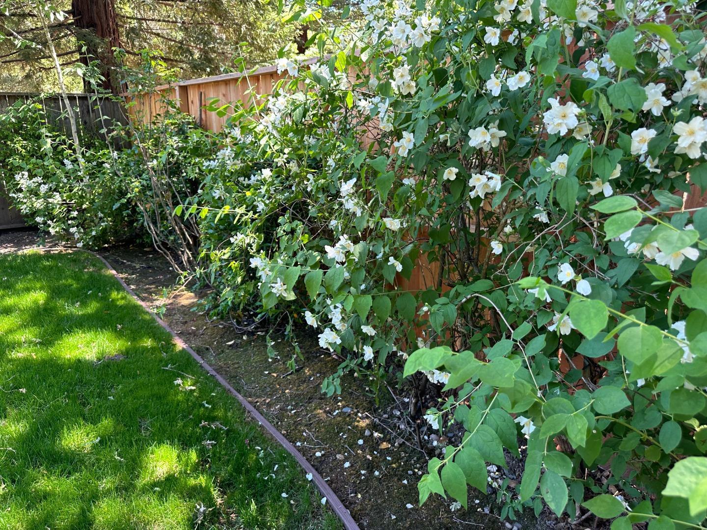 Detail Gallery Image 27 of 31 For 15 Martin Ln, Woodside,  CA 94062 - 3 Beds | 2 Baths