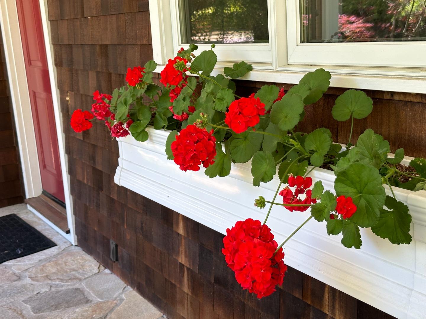 Detail Gallery Image 4 of 31 For 15 Martin Ln, Woodside,  CA 94062 - 3 Beds | 2 Baths