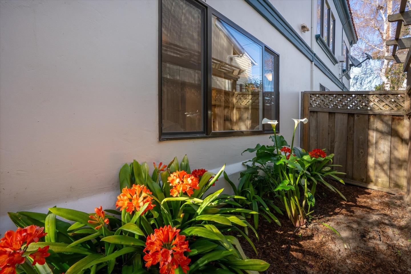 Detail Gallery Image 43 of 54 For 143 Alamo Ave, Santa Cruz,  CA 95060 - 3 Beds | 2/1 Baths
