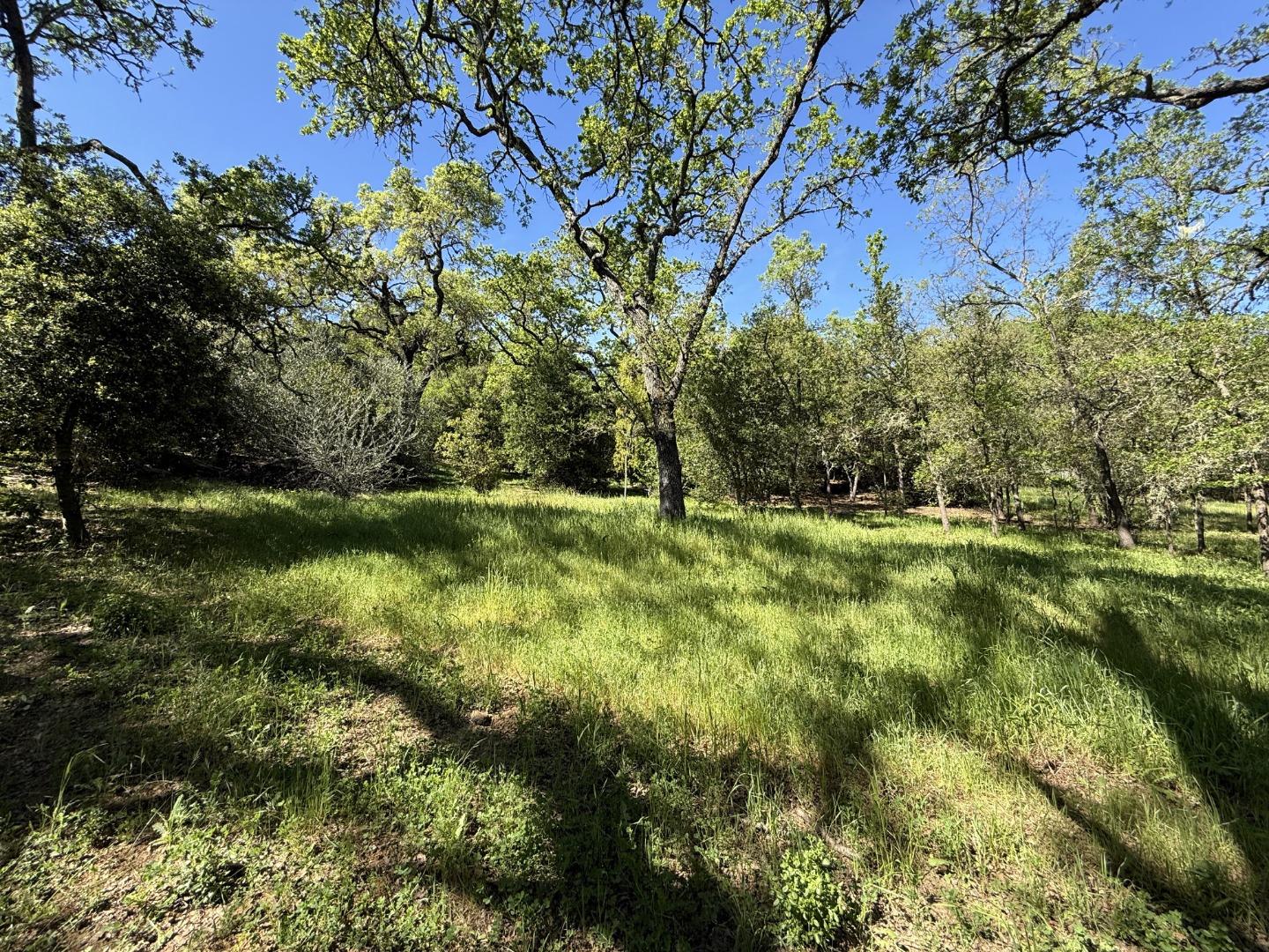 Detail Gallery Image 61 of 68 For 727 Bicknell Rd, Los Gatos,  CA 95030 - 5 Beds | 3/1 Baths