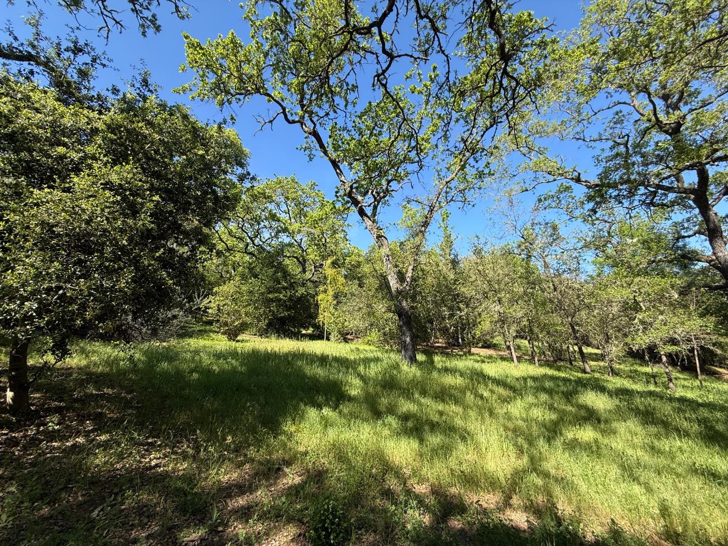Detail Gallery Image 62 of 68 For 727 Bicknell Rd, Los Gatos,  CA 95030 - 5 Beds | 3/1 Baths