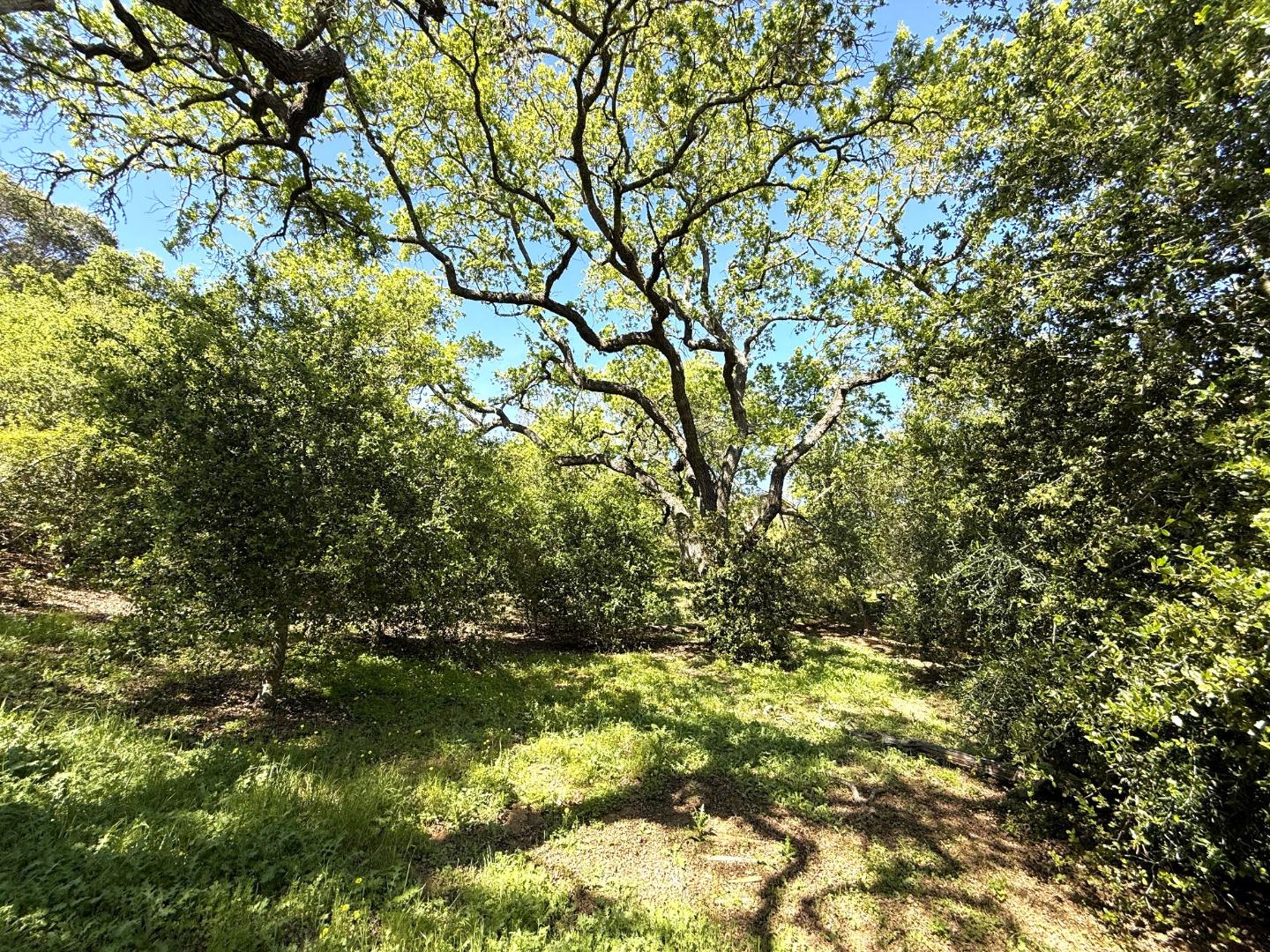 Detail Gallery Image 64 of 68 For 727 Bicknell Rd, Los Gatos,  CA 95030 - 5 Beds | 3/1 Baths