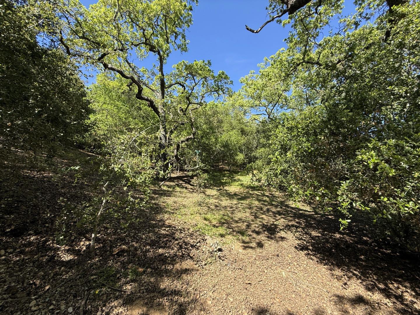 Detail Gallery Image 65 of 68 For 727 Bicknell Rd, Los Gatos,  CA 95030 - 5 Beds | 3/1 Baths