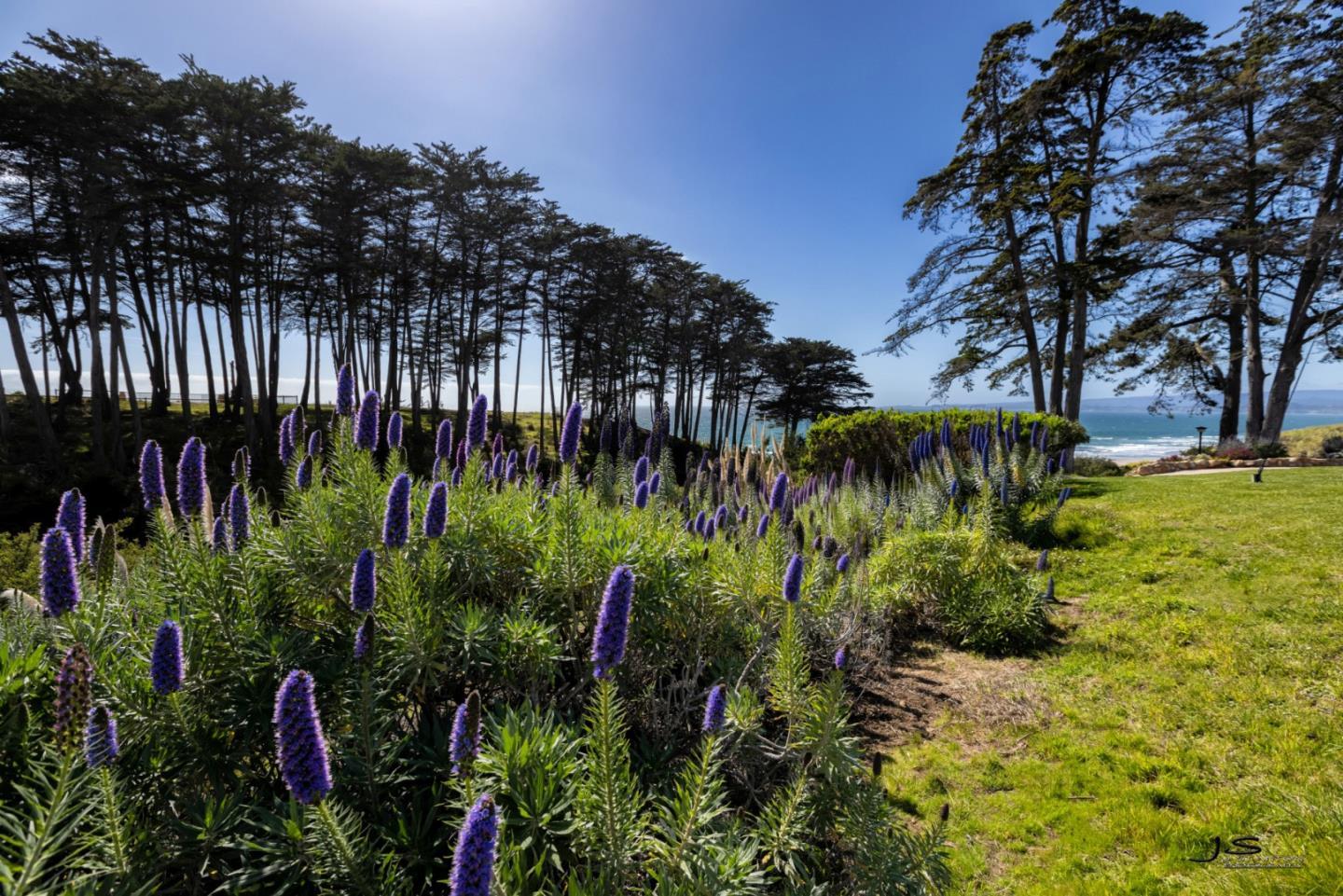 Detail Gallery Image 10 of 18 For 221 Seascape Resort Dr, Aptos,  CA 95003 - 1 Beds | 1 Baths