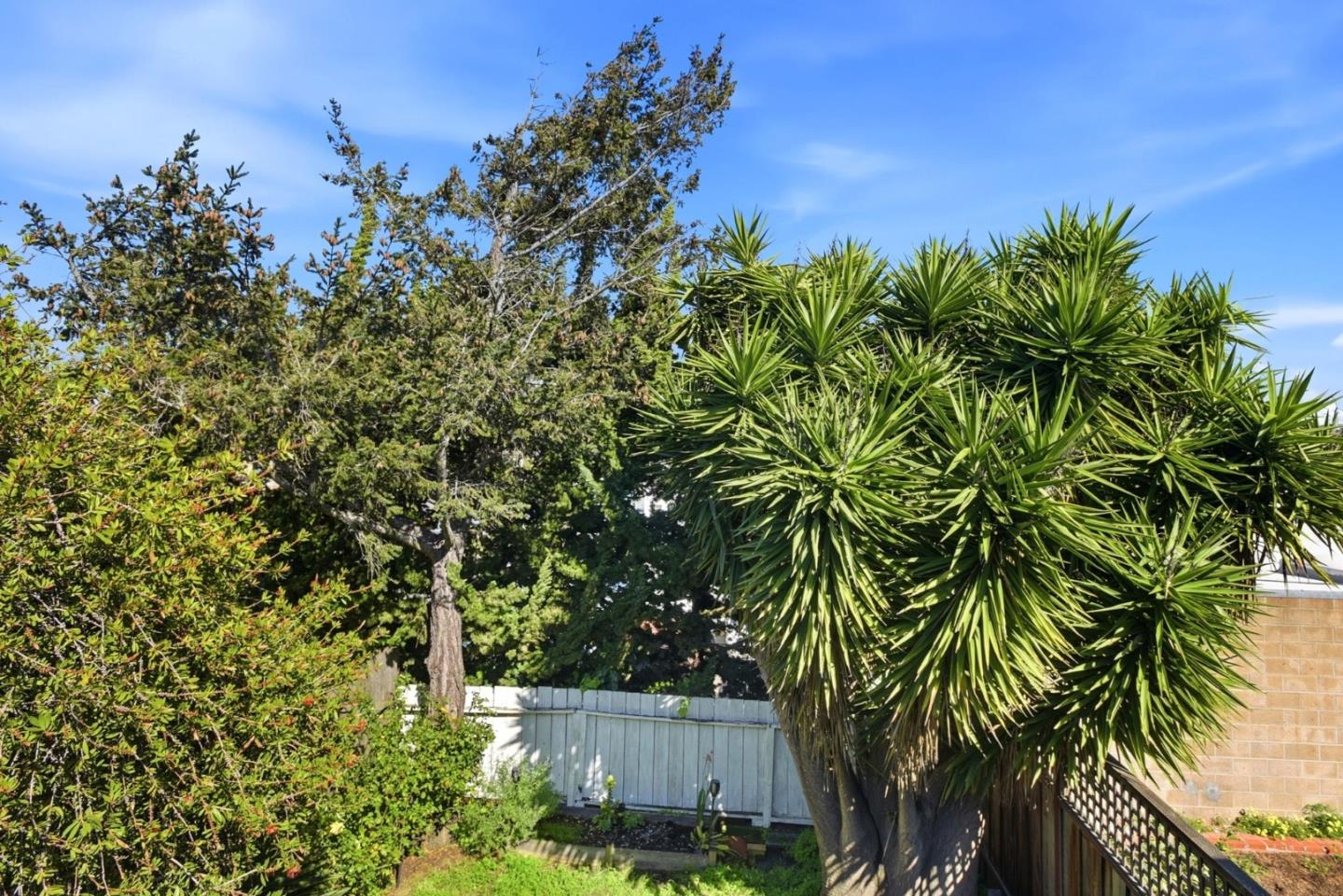 Detail Gallery Image 31 of 32 For 120 Linden, San Bruno,  CA 94066 - 3 Beds | 2 Baths