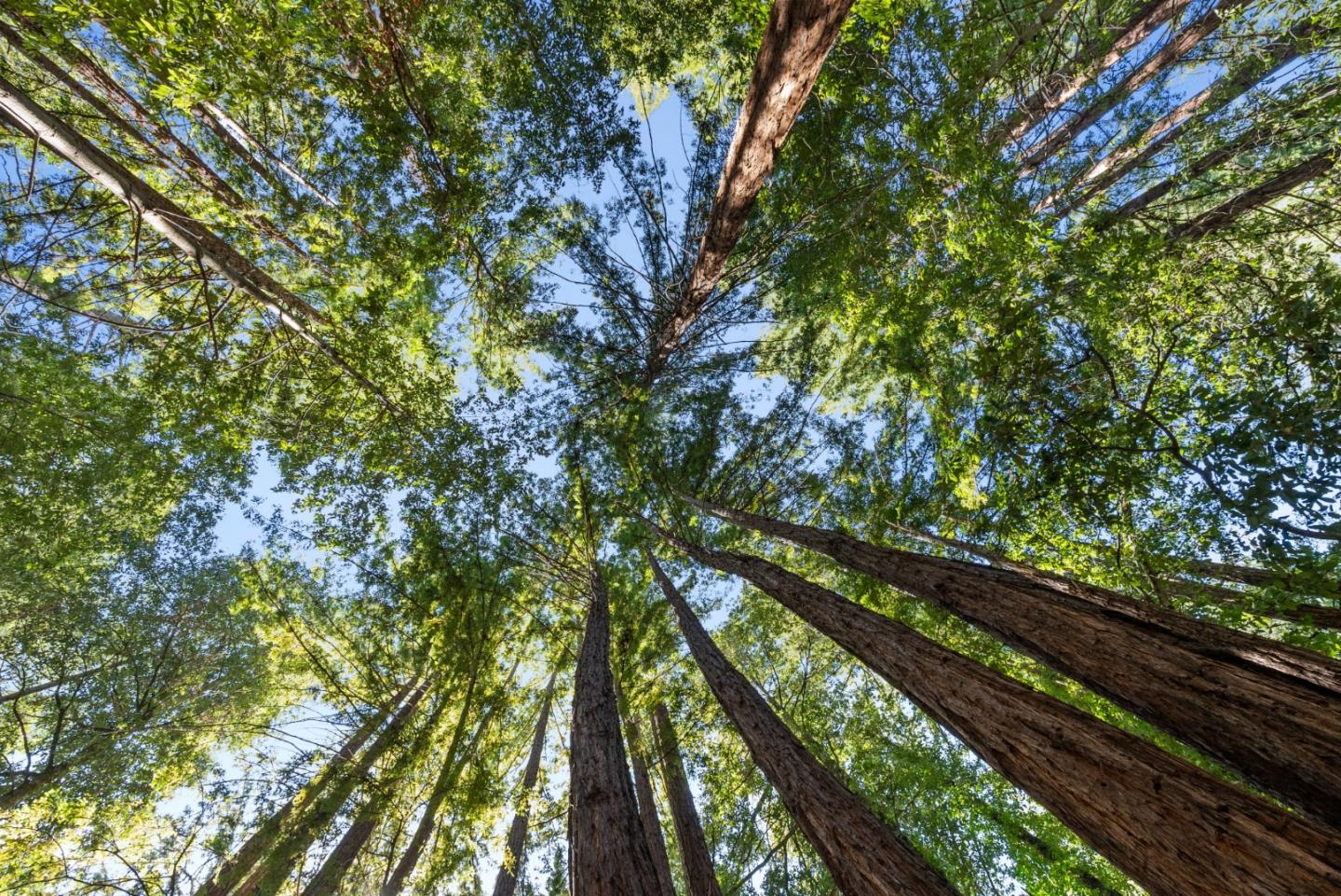 Detail Gallery Image 54 of 63 For 26650 Soquel San Jose Rd, Los Gatos,  CA 95033 - 2 Beds | 1 Baths