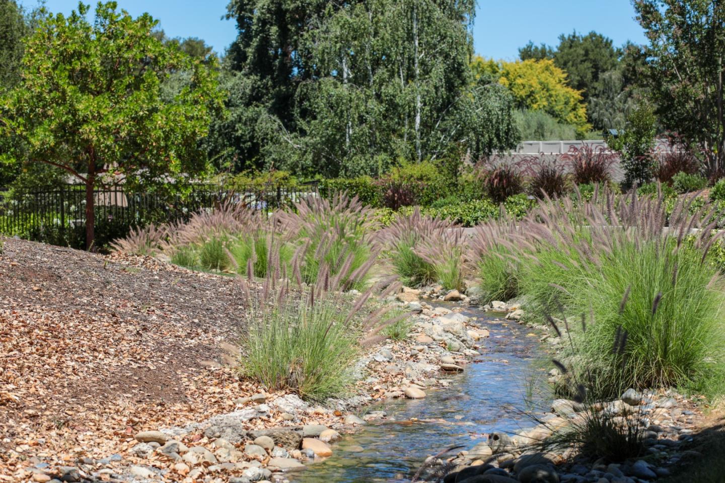 Detail Gallery Image 28 of 32 For 71 Bay Tree Ln, Los Altos,  CA 94022 - 2 Beds | 2 Baths