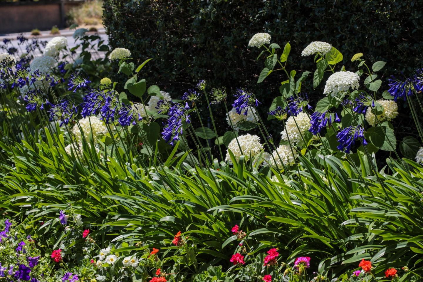 Detail Gallery Image 29 of 32 For 71 Bay Tree Ln, Los Altos,  CA 94022 - 2 Beds | 2 Baths