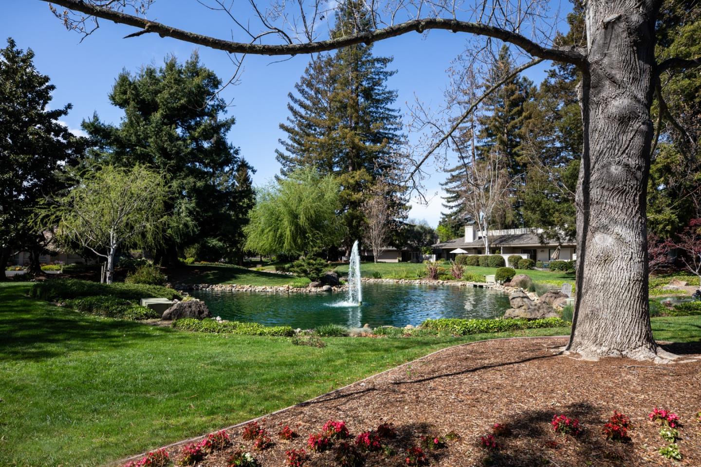 Detail Gallery Image 32 of 32 For 71 Bay Tree Ln, Los Altos,  CA 94022 - 2 Beds | 2 Baths