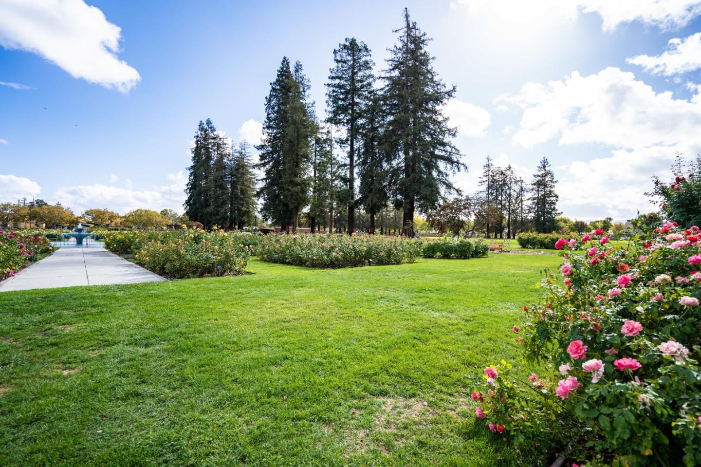 Detail Gallery Image 75 of 92 For 1481 W Hedding St, San Jose,  CA 95126 - 5 Beds | 4/1 Baths