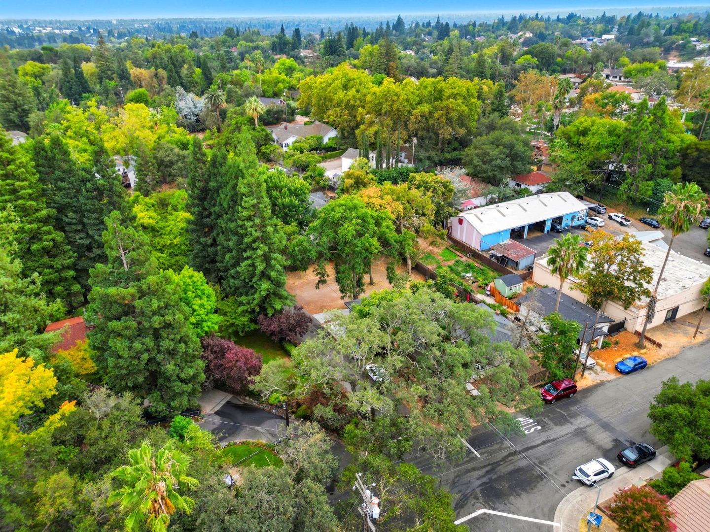 4291 Watkins Drive, Fair Oaks, CA, 95628