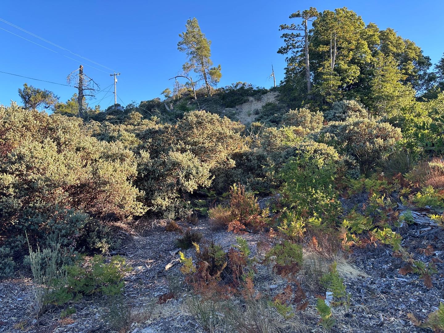 10001 West Drive, Felton, CA, 95018
