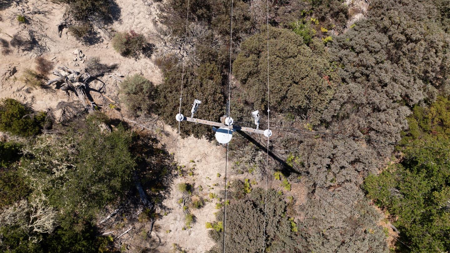 Detail Gallery Image 4 of 7 For 10001 West Dr, Felton,  CA 95018 - – Beds | – Baths