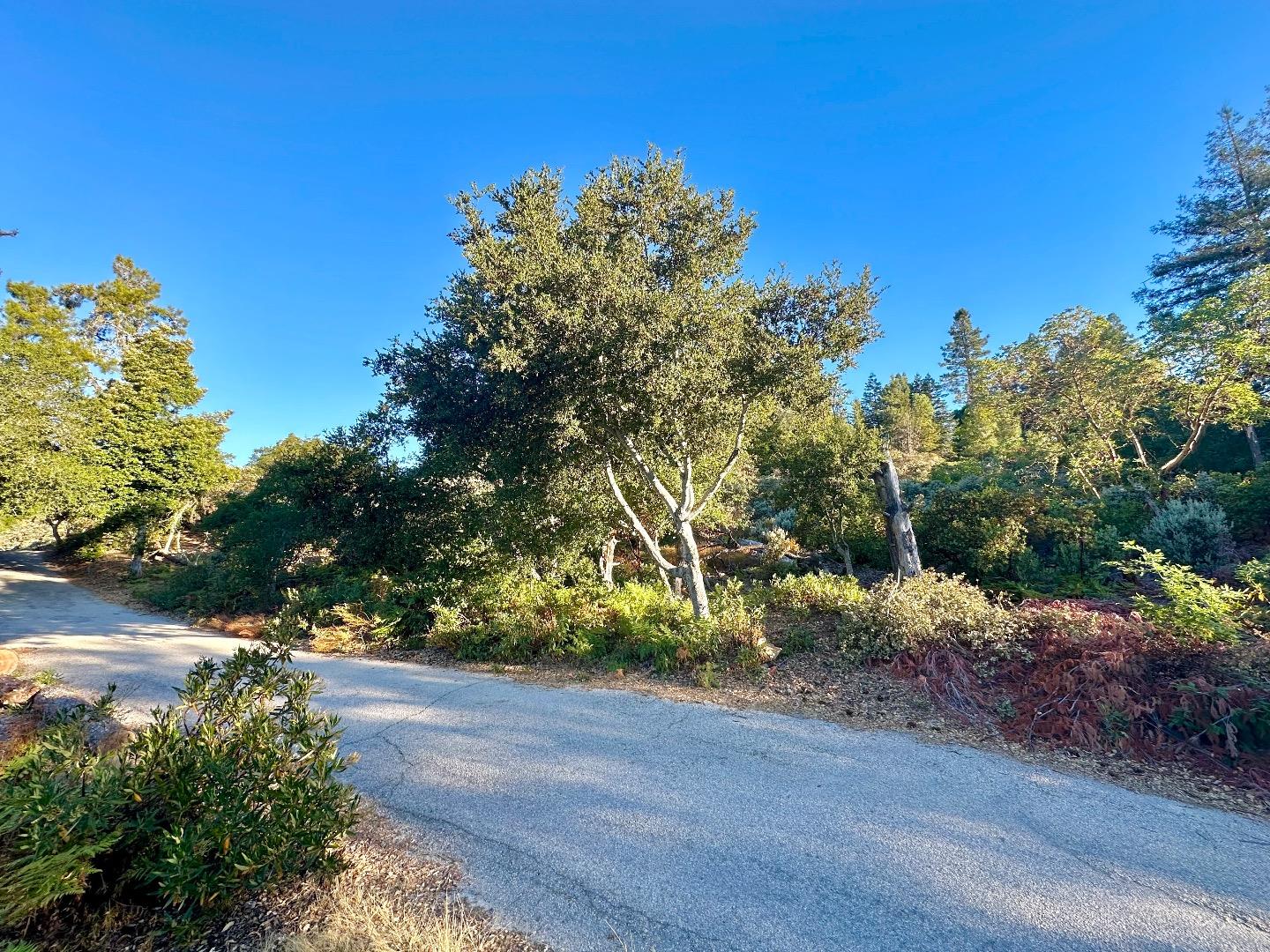 10001 West Drive, Felton, CA, 95018