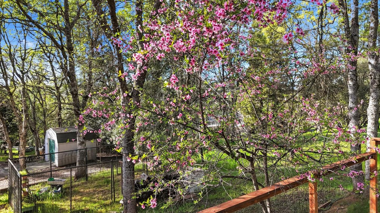 Detail Gallery Image 51 of 69 For 11544 Torrey Pines Dr, Auburn_NVA,  CA 95602 - 3 Beds | 2/1 Baths