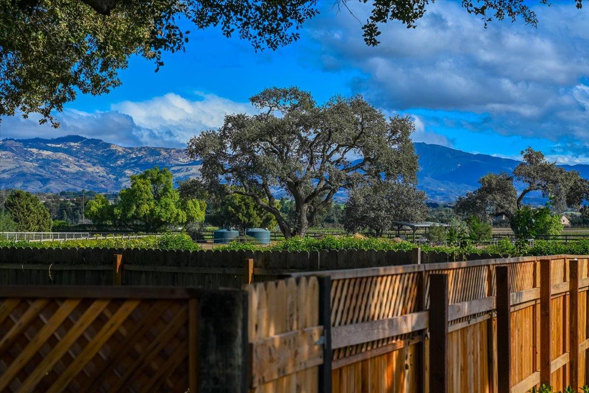 Detail Gallery Image 63 of 70 For 2480 Roblar Ave, Los Olivos,  CA 93441 - 9 Beds | 8 Baths