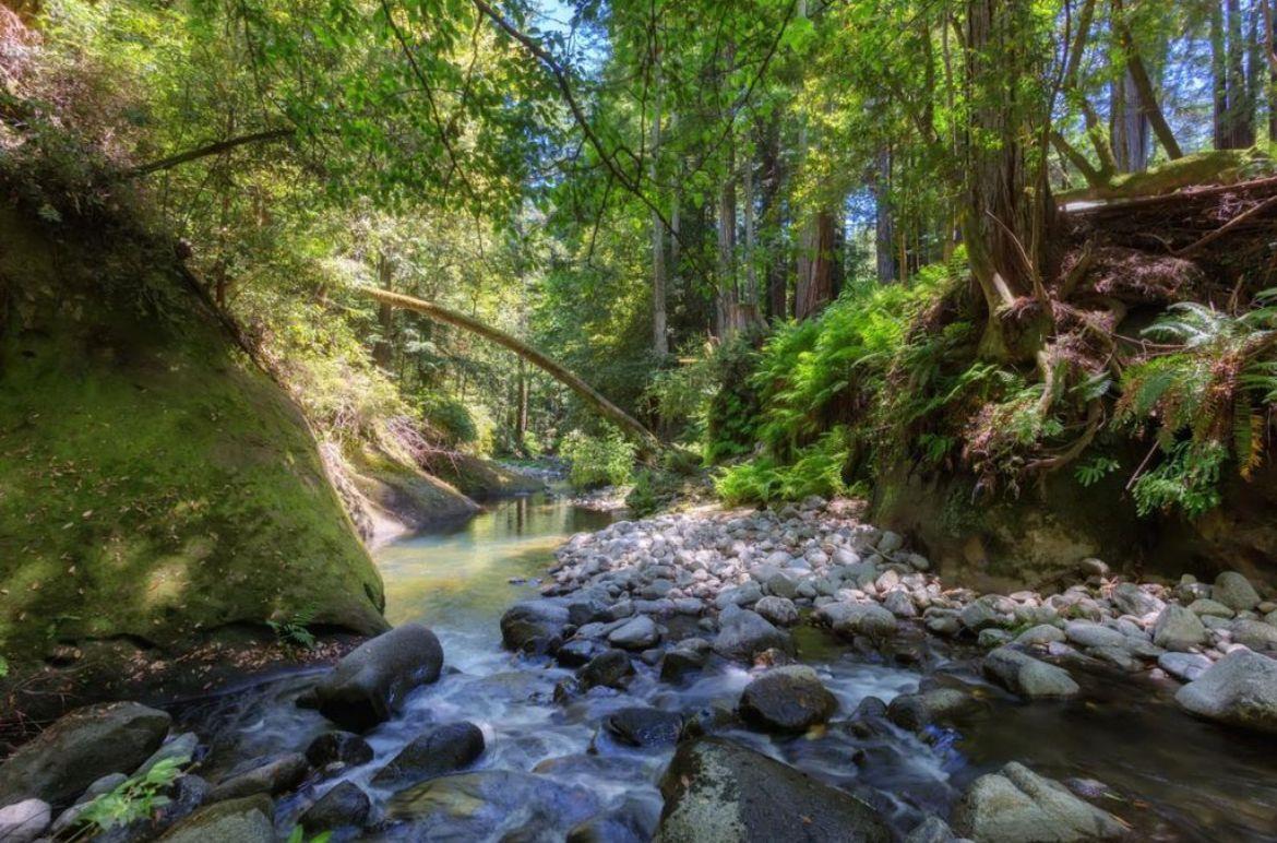 Detail Gallery Image 33 of 33 For 450 Granite Way, Aptos,  CA 95003 - 3 Beds | 2/1 Baths